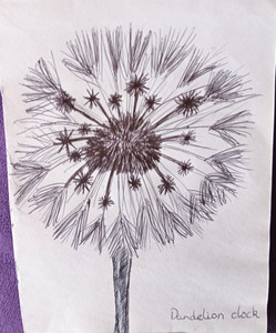 Christine P, Dandelion clock.jpg